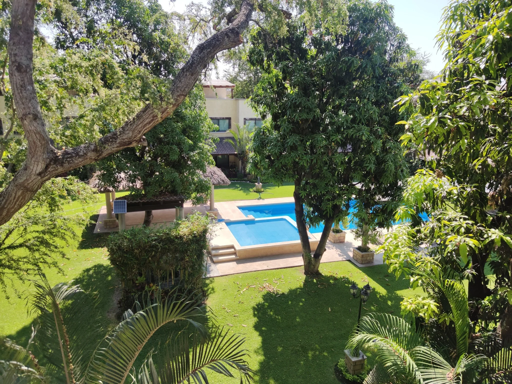Jardín y alberca residencial